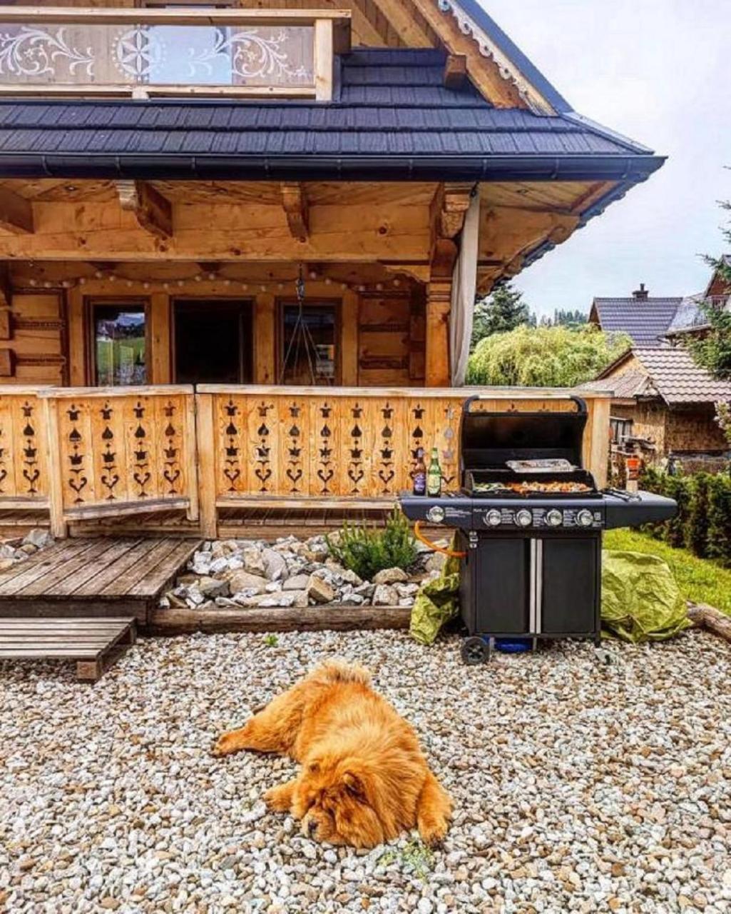 Chaty Misiagi Poronin Exterior photo